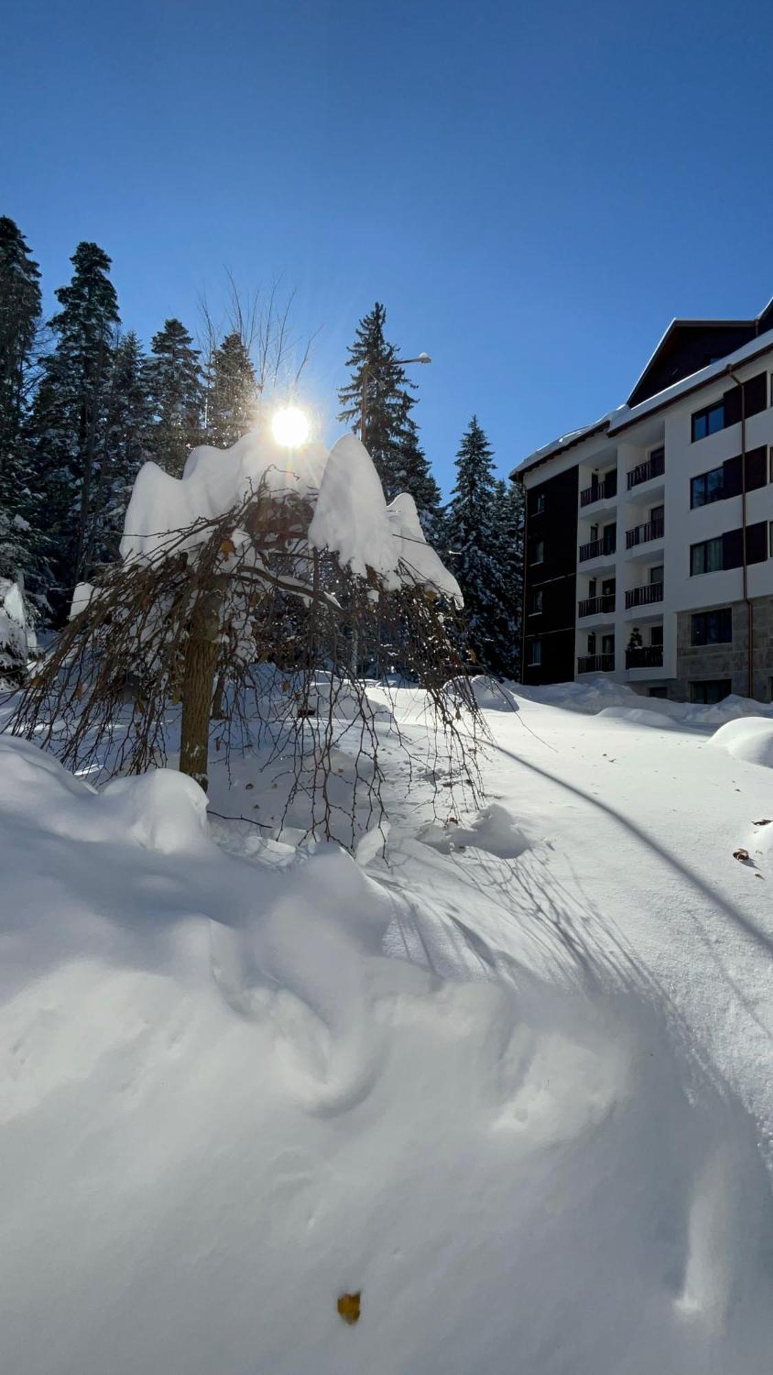 Borovets Gardens B21 Morunov Apart المظهر الخارجي الصورة