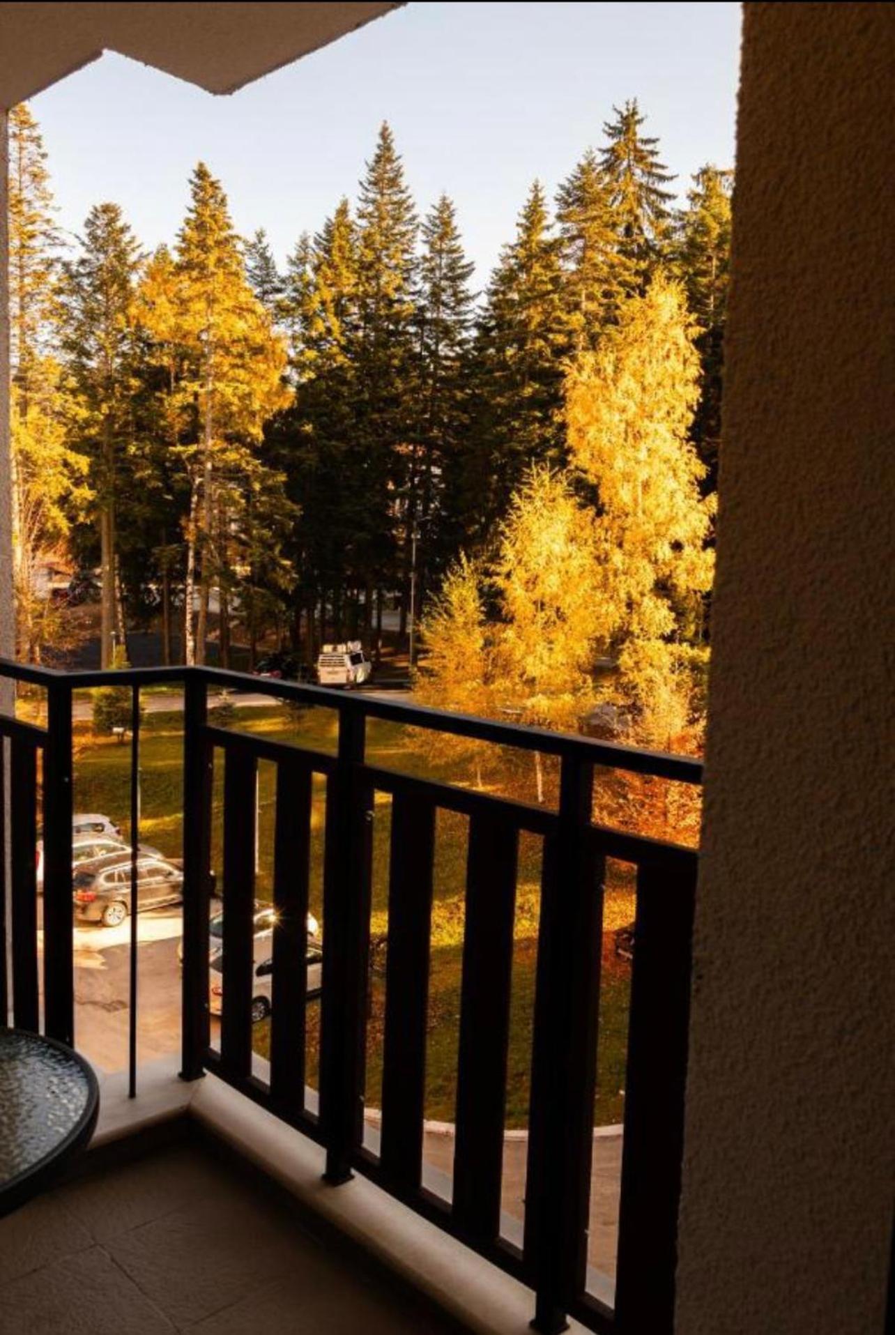 Borovets Gardens B21 Morunov Apart المظهر الخارجي الصورة